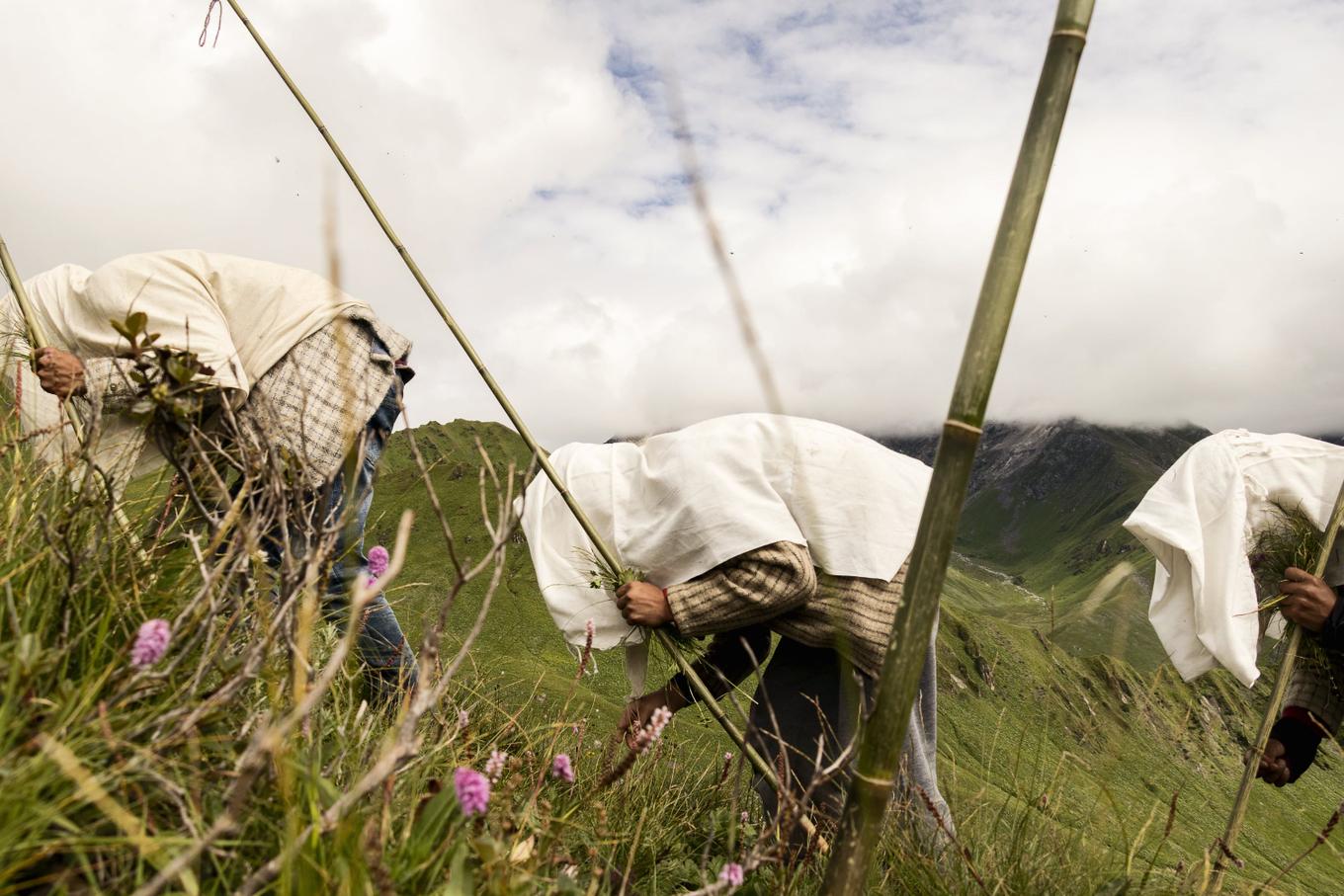 Pilgrimage in Darchula